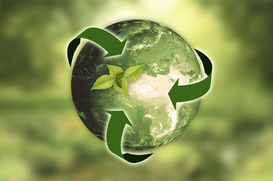 Unser Beitrag zur Nachhaltigkeit